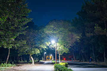 夜の阿波岐原パークウェイ