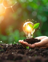 Hand holds soil with lightbulb sprout