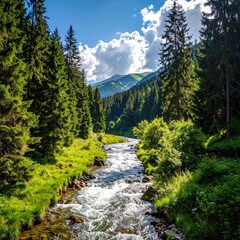 A river flows through a lush, green valley surrounded by tall pine trees under a bright blue sky with fluffy white clouds