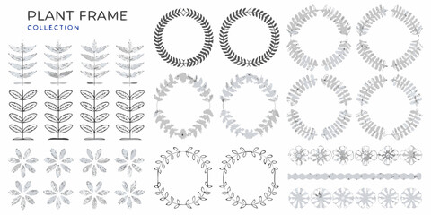 Collection of decorative plant and leaf frames and elements for design