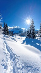 Snow-covered landscape with path leading through serene scene, evergreen trees, mountains, and sun shining in blue sky