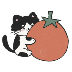 Tomato cat 1
