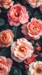 Intimate floral arrangement with various pink roses in full bloom set against lush, dark green foliage, creating a soft, romantic aesthetic