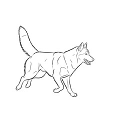 Siberian Husky Running Silhouette Vector Dynamic Dog Logo Design