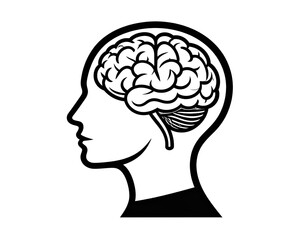 Profile view of a head with a detailed brain