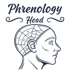 Vintage Phrenology Head Illustration