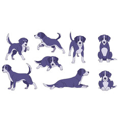 Adorable Blue And White Mixed Breed Dog Poses For Joyful Companionship Isolated On Transparent Background