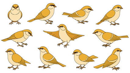 Charming Sparrow Birds Poses Wildlife Nature Vector Art Isolated on Transparent Background