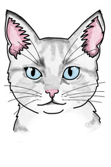 Obraz premium Cat light blue-eyes