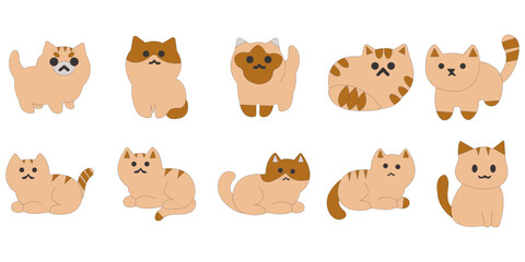 Cute Cartoon Cat Illustration