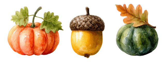 Watercolor Illustration of Isolated Autumn Objects