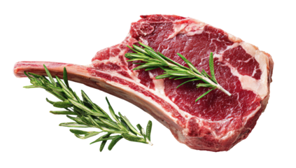 Raw steak with rosemary sprigs (2)