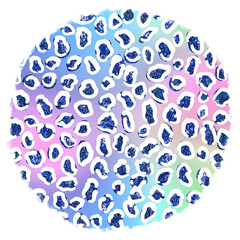 Blue Leopard Print on Rainbow Gradient Background animal print isolated on a transparent background