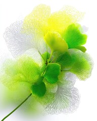 Ginkgo biloba leaves, translucent, vibrant colors