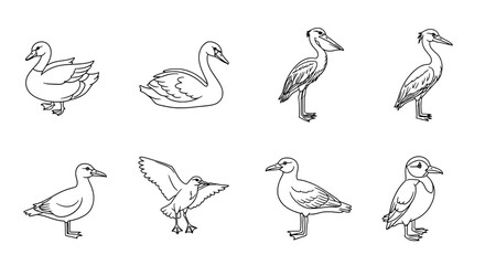 Fototapeta premium Collection of Bird Outlines Duck, Swan, Heron, Seagull and More
