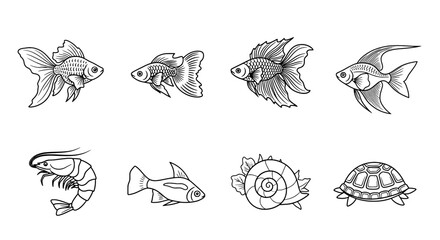 Aquatic Life Line Art Collection Fish, Shrimp, Turtle, and Shell