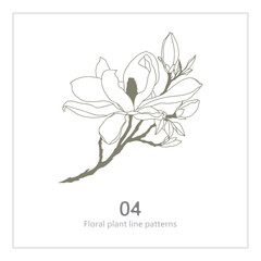 Floral plant line patterns, Ornamental Line Art, Decorative Stripe Design