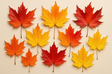 Fototapeta premium Vibrant autumn maple leaf collection displaying spectrum of fall colors for seasonal design projects