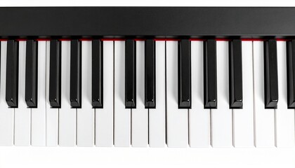 Section of piano keyboard with alternating black and white keys on white background