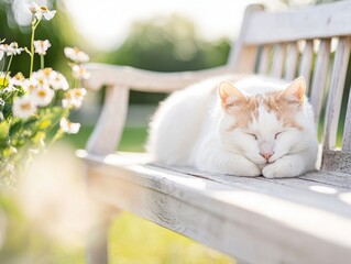 A fluffy white cat with orange markings sleeps peacefully on a wooden bench surrounded by flowers in a sunlit garden.