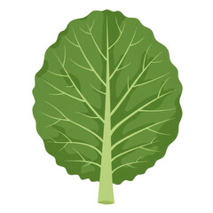 Detailed illustration of a vibrant green leaf with veins and stem isolated on white background