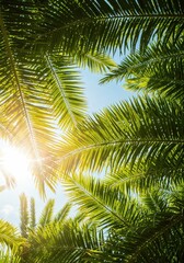 Fototapeta premium Tropical Canopy: A sun-drenched view through a vibrant green palm frond canopy, with the bright blue sky peeking through, creating a refreshing and exotic atmosphere.