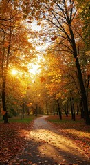Naklejka premium Autumnal Trail of Radiance: A winding path invites exploration, framed by trees ablaze with gold, orange, and russet hues, as sunlight streams through the leaves.