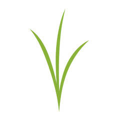 Simple green grass blades illustration isolated on white background