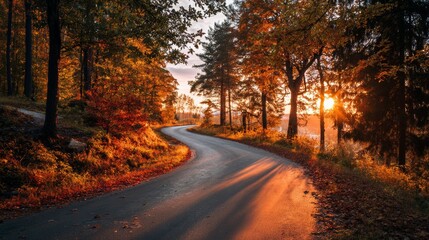 Road in autumn forest at sunset.