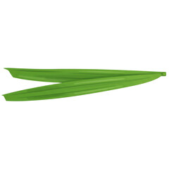 Fototapeta premium Vivid green pandan leaves, culinary herb, isolated illustration isolated on white background
