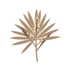 Stylized botanical illustration of a unique plant with elongated leaves and blooms isolated on white background