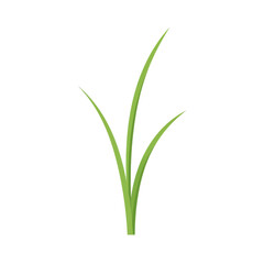 Vibrant green grass blades illustration, simple nature design isolated on white background