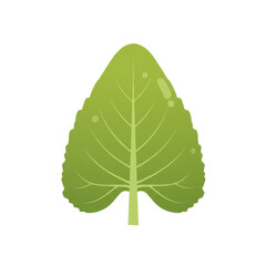 Single vibrant green leaf with prominent veins and undulating edges isolated on white background