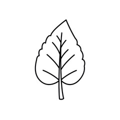 Fototapeta premium Simple black line drawing of a leaf isolated on white background