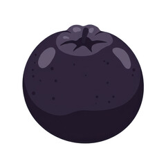 Vibrant dark purple berry illustration with subtle texture isolated on white background