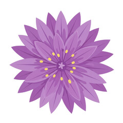 Vibrant purple flower design with detailed petals isolated on white background