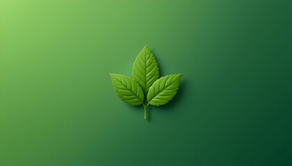 Vibrant green leaves emerge from a soft gradient, symbolizing growth, nature, and fresh beginnings for eco-friendly branding and organic product promotion
