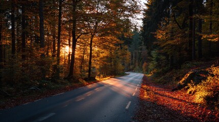 Obraz premium Road in autumn forest at sunset.