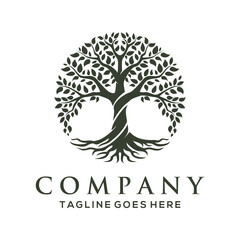 line art nature logo vector design oak tree inside circle, abstract tree logo symbol inside circle © Vectoria