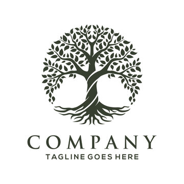 line art nature logo vector design oak tree inside circle, abstract tree logo symbol inside circle