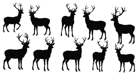 Silhouettes of majestic deer with large antlers in a natural setting