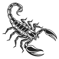 scorpion vector illustration