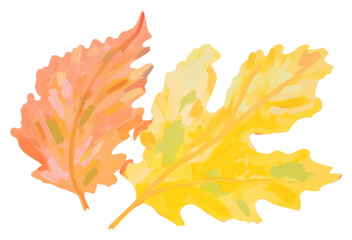 Obraz premium PNG Autumn leave painting cartoon sketch.