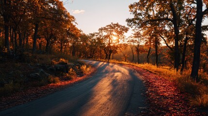 Obraz premium Road in autumn forest at sunset.