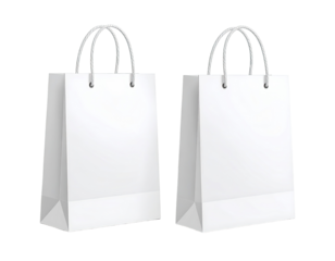 Two white paper shopping bags (1)