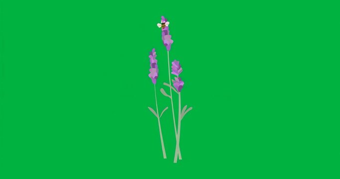 At start bee perching on lavender sparking aura pulsing and transparent canvas flickering