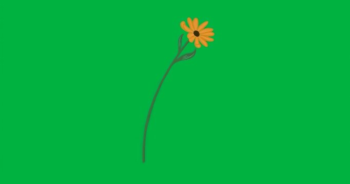 At start, orange daisy emitting glow as cyan particles drifting showing energy transparent backdrop