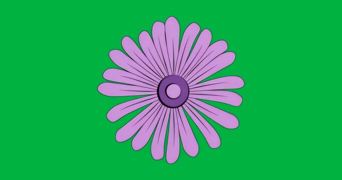 At start purple daisy igniting cyan aura and pulsing showing energy flow on clear background