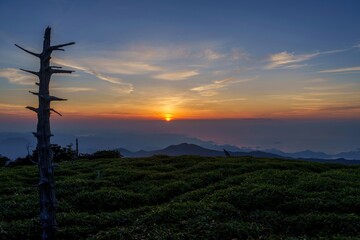 正木峠で見た熊野灘に昇る朝日の情景