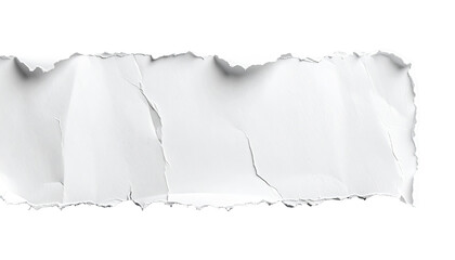 Ripped white paper banner (1)